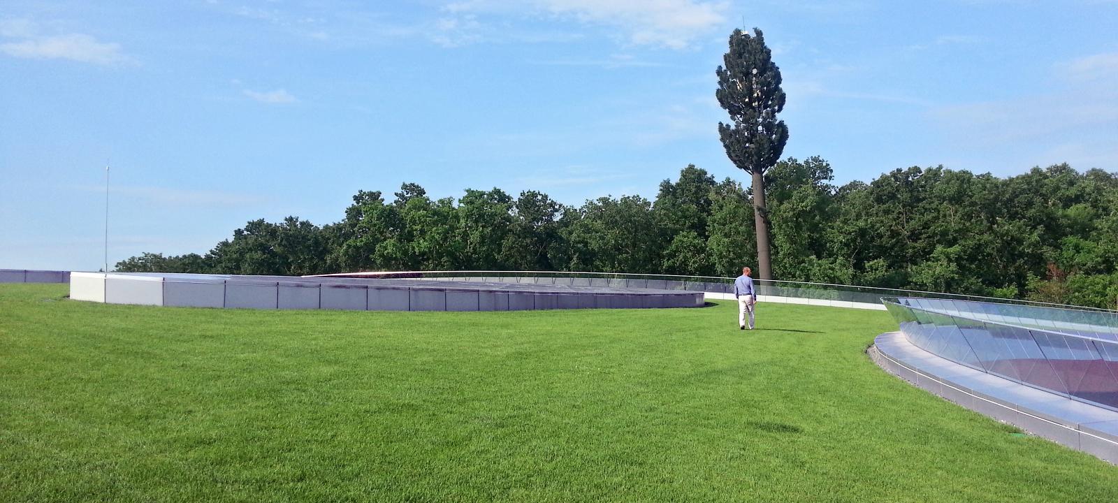 Large flat and pitched green roof with lawn